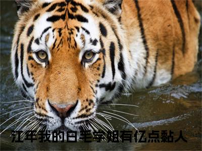我的白毛学姐有亿点黏人（江年）全文免费阅读无弹窗大结局_我的白毛学姐有亿点黏人（江年）全文阅读_笔趣阁