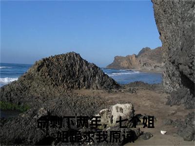命剩下两年，七个姐姐跪求我原谅是什么小说-楚衍免费小说在线阅读