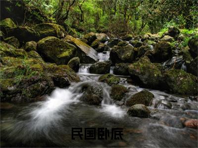 民国卧底正版小说全文阅读 陈锋无删减版