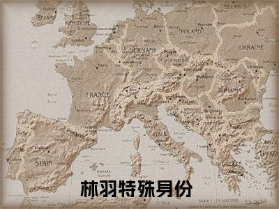 特殊身份林羽最新章节免费阅读-特殊身份小说推荐林羽精彩章节在线阅读
