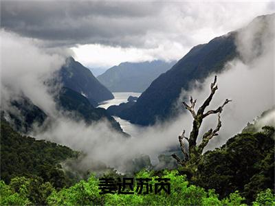 姜迟苏芮免费阅读大结局无弹窗-小说推荐姜迟苏芮精彩章节在线阅读
