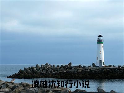 凌柚沈知行小说（凌柚沈知行最新全章节大结局）凌柚沈知行全文阅读