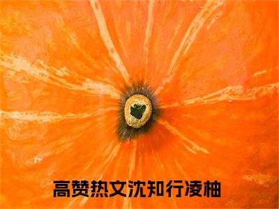热推新书沈知行凌柚小说全文（沈知行凌柚）全文免费阅读_沈知行凌柚最新章节无弹窗阅读