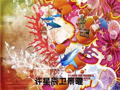 许星辰卫景曜小说（这位先生，我们认识？）全文免费阅读_（这位先生，我们认识？）许星辰卫景曜最新章节列表笔趣阁（这位先生，我们认识？）