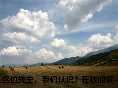 这位先生，我们认识？许星辰卫景曜小说全文无广告阅读-这位先生，我们认识？小说赏析许星辰卫景曜