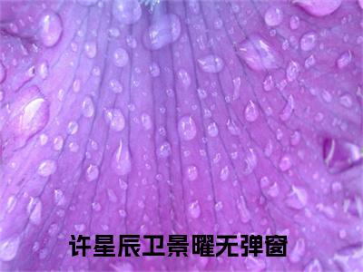 这位先生，我们认识？全文免费阅读-许星辰卫景曜最新章节小说免费阅读