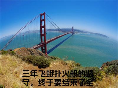 三年飞蛾扑火般的坚守，终于要结束了（苏月顾风）全文小说在线阅读-三年飞蛾扑火般的坚守，终于要结束了全章节最新阅读