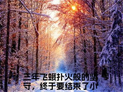 三年飞蛾扑火般的坚守，终于要结束了全文免费阅读无弹窗大结局_（三年飞蛾扑火般的坚守，终于要结束了小说）苏月顾风在线免费阅读