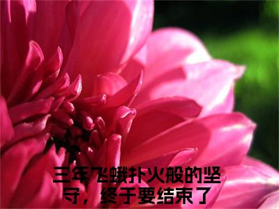 三年飞蛾扑火般的坚守，终于要结束了苏月顾风免费阅读无弹窗 小说三年飞蛾扑火般的坚守，终于要结束了最新章节