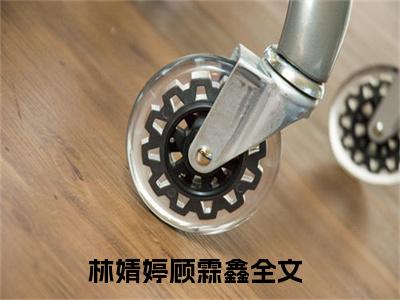 林婧婷顾霖鑫精彩章节小说-林婧婷顾霖鑫最新更新阅读
