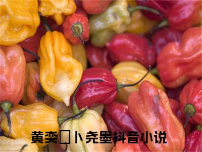 黄奕玥卜尧墨（黄奕玥卜尧墨）全文免费阅读无弹窗大结局_黄奕玥卜尧墨最新章节列表阅读_笔趣阁