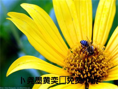 卜尧墨黄奕玥（卜尧墨黄奕玥）免费阅读_（卜尧墨黄奕玥）卜尧墨黄奕玥免费阅读最新章节列表笔趣阁（卜尧墨黄奕玥）