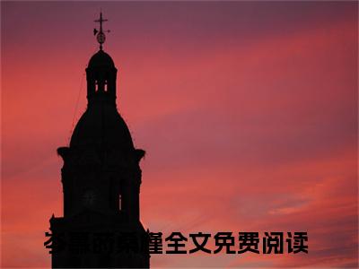 岑慕莳桑槿全文免费阅读无弹窗大结局-岑慕莳桑槿 全文全章节免费阅读