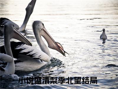 盛清梨季北望（盛清梨季北望）抖音热推小说全集无删减，盛清梨季北望完整章节阅读