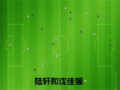 陆轩和沈佳媛（陆轩和沈佳媛）全文免费阅读大结局-陆轩和沈佳媛小说全文免费阅读最新章节列表