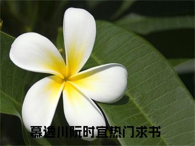 慕逸川阮时宜全文免费阅读无弹窗大结局_（慕逸川阮时宜）完整版全文在线赏析