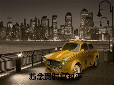 苏念贺时宴（苏念贺时宴全文免费）小说全文免费阅读无弹窗大结局_(苏念贺时宴免费阅读）苏念贺时宴最新章节列表_笔趣阁（苏念贺时宴）