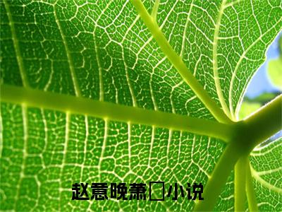赵意晚萧璟（赵意晚萧璟）全文免费阅读无弹窗大结局-赵意晚萧璟最新章节列表免费阅读