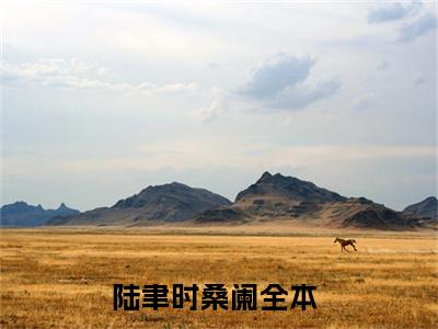 陆聿时桑阑（陆聿时桑阑）全文免费阅读无弹窗大结局_（陆聿时桑阑）最新章节列表笔趣阁