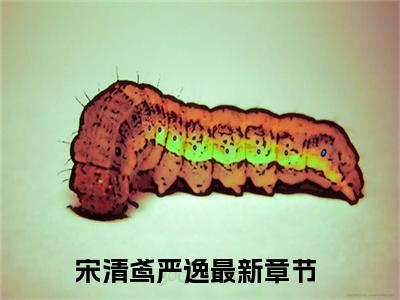 宋清鸢严逸（宋清鸢严逸）全文免费阅读大结局-宋清鸢严逸小说全文免费阅读最新章节列表