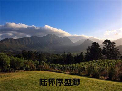 陆怀序盛渺小说免费阅读陆怀序盛渺小说全文免费阅读_陆怀序盛渺最新章节列表笔趣阁