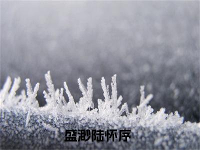盛渺陆怀序（盛渺陆怀序）全文在线阅读无弹窗大结局_(盛渺陆怀序免费阅读全文大结局)最新章节列表_笔趣阁