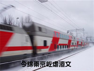 今绵秦京屹（今绵秦京屹）全文小说-今绵秦京屹小说最新章节免费阅读