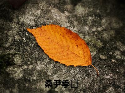 桑尹季濬（桑尹季濬）热文小说全文阅读-精彩美文桑尹季濬免费阅读