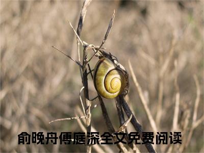 俞晚舟傅庭深小说（俞晚舟傅庭深）全文免费阅读_（俞晚舟傅庭深）小说最新章节列表_笔趣阁（俞晚舟傅庭深）