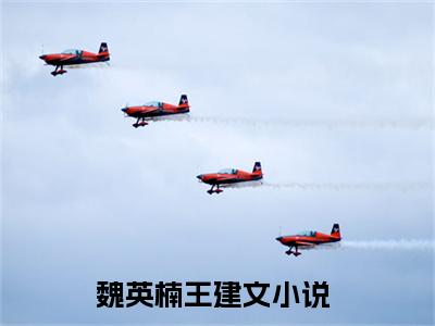 魏英楠王建文（魏英楠王建文）小说全文免费阅读无弹窗-（魏英楠王建文）小说全文免费阅读最新章节列表笔趣阁