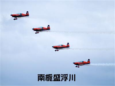 小说免费阅读-抖音新书热荐南栀盛浮川