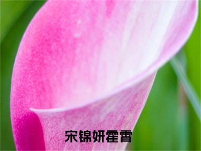 宋锦妍霍霄（宋锦妍霍霄）全集免费阅读无弹窗_(宋锦妍霍霄小说免费阅读)_笔趣阁