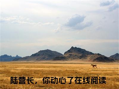孟清念陆战骁全文免费阅读_（陆营长，你动心了免费阅读无弹窗）孟清念陆战骁最新章节列表笔趣阁（陆营长，你动心了）