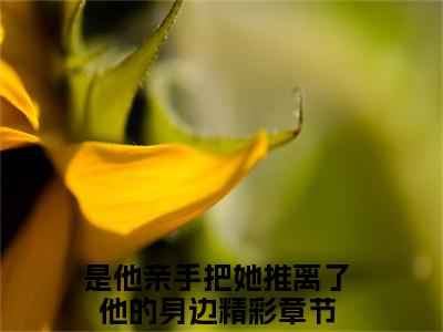 傅寒川温时冉（是他亲手把她推离了他的身边）免费小说-傅寒川温时冉小说完整版阅读