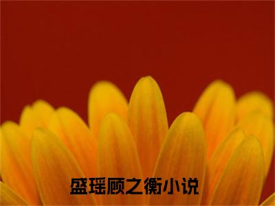 盛瑶顾之衡小说全文免费阅读正版 盛瑶顾之衡免费阅读无弹窗