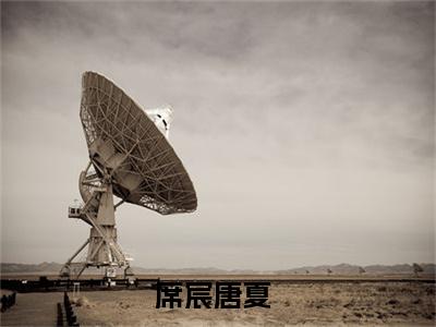 主角为席宸唐夏的小说-席宸唐夏小说全文免费阅读