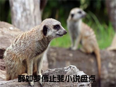 被短命傅三爷缠上了全文免费阅读在线阅读 薛如梦傅止斐全文免费阅读最新章节列表_笔趣阁