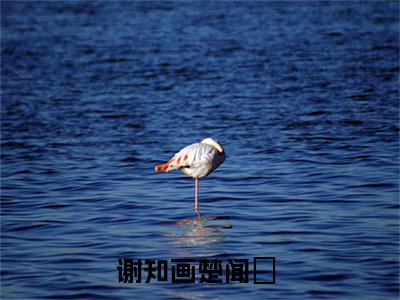 谢知画楚闻璟（谢知画楚闻璟）全集免费阅读无弹窗_(谢知画楚闻璟小说免费阅读)_笔趣阁