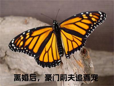 离婚后，豪门前夫追着宠小说全文免费阅读（温言裴时年）全文免费温言裴时年小说无弹窗大结局_温言裴时年读最新章节列表_笔趣阁（离婚后，豪门前夫追着宠小说）