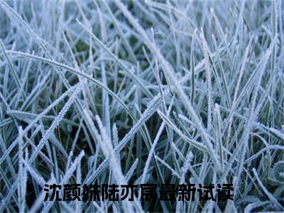 沈颜姝陆亦宸小说（沈颜姝陆亦宸）全文免费阅读无弹窗大结局_沈颜姝陆亦宸最新章节列表_笔趣阁