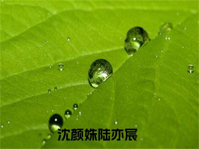 言情小说榜单沈颜姝陆亦宸阅读全文（沈颜姝陆亦宸）-沈颜姝陆亦宸完整版免费小说