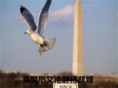 池静傅权峰抖音小说-小说主角叫什么池静傅权峰