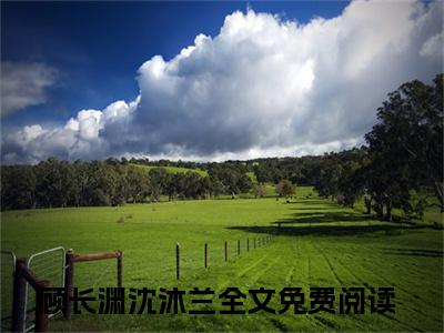 2023年精选热门小说敛绪怀芳倚玉楼（顾长渊沈沐兰）-（顾长渊沈沐兰）敛绪怀芳倚玉楼免费阅读