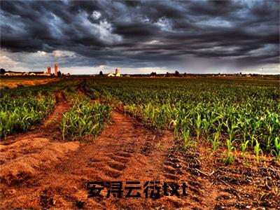 安浔云衍新上热文小说-安浔云衍推荐阅读已完结
