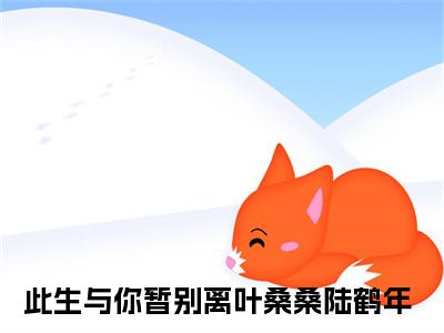 （叶桑桑陆鹤年）此生与你暂别离小说小说全文免费此生与你暂别离读最新章节列表笔趣阁（叶桑桑陆鹤年）
