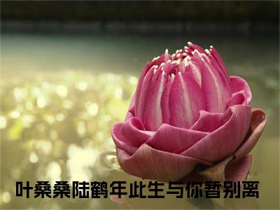 此生与你暂别离知乎小说全文免费阅读_（此生与你暂别离）叶桑桑陆鹤年知乎小说最新章节列表笔趣阁