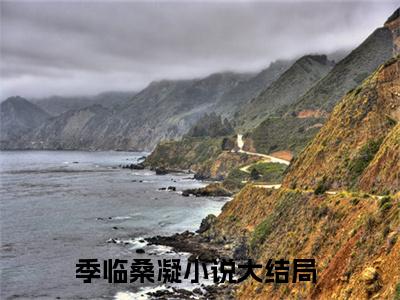 （季临桑凝）全文免费阅读无弹窗大结局_（季临桑凝阅读无弹窗）季临桑凝最新章节列表_笔趣阁（季临桑凝）