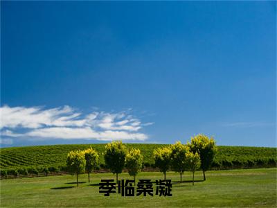 季临桑凝正版小说全文阅读-小说推荐季临桑凝精彩章节全文阅读