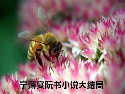 宁薄宴阮书全文免费阅读无弹窗大结局_宁薄宴阮书无弹窗全文阅读