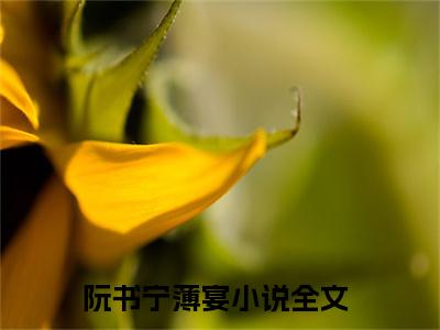 阮书宁薄宴（阮书宁薄宴）全文免费阅读无弹窗大结局_阮书宁薄宴免费阅读最新章节列表_笔趣阁（阮书宁薄宴）